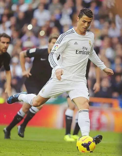 决策假设 决策假设