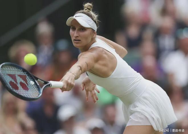 结构层面 结构层面