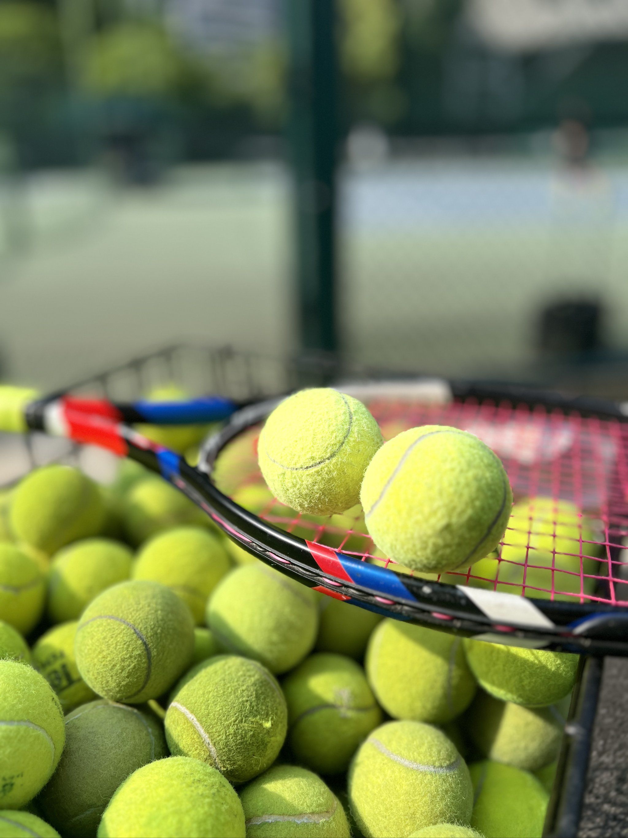 的声音升温 的声音升温